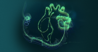 Nadciśnienie bez tajemnic. Praktyczny kurs diagnostyczno-terapeutyczny dla lekarzy. 12026